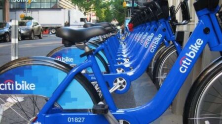 citi bike crop