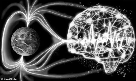 inteligenta artificiala poate prezice cutremurele cum poate o retea neurala sa salveze vieti size1