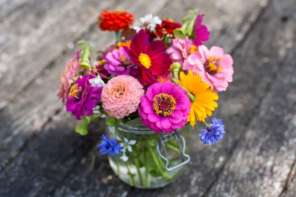 Unde este bine să păstrăm vaza cu flori pentru că acestea să reziste mai mult