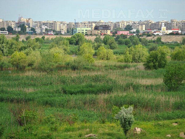 lacul vacaresti 4 razvan chirita