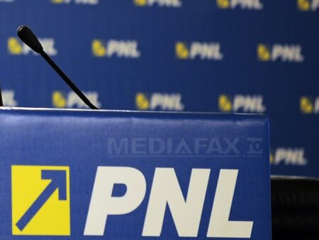 pnl2 razvan chirita