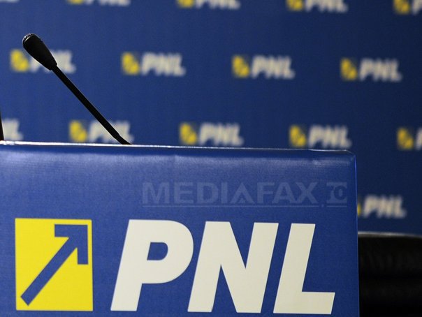 pnl2 razvan chirita