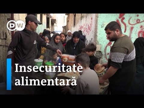 Insecuritatea alimentară în Gaza atinge cote alarmante hqdefaul 15