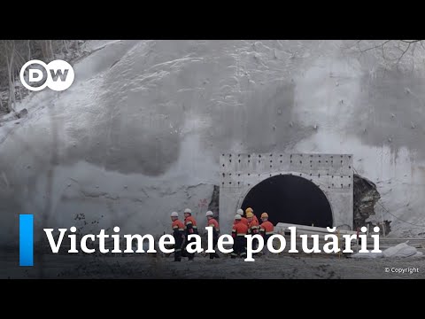 Victime ale poluării hqdefaul 20