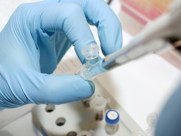laborator medical cercetari shutterstock