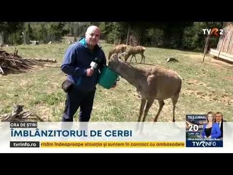 hqdefault 142