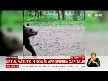 hqdefault 177